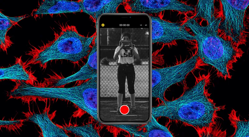 Microlearning Proven Science Behind Remote Baseball Softball Lessons B P026