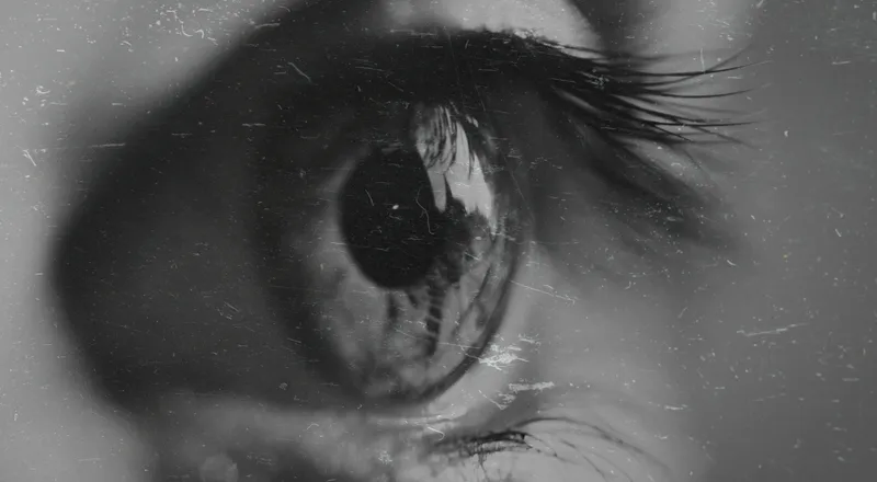 Ultimate Guide Vision Training Baseball Softball Hitters B P032