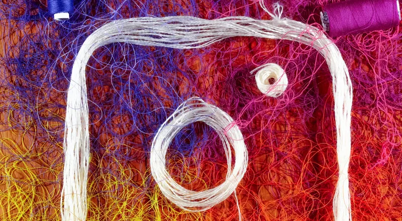 Ultimate Guide Monetize Baseball Softball Instagram Following B P052